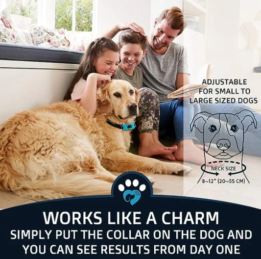 🔥Anti-Bark Collar