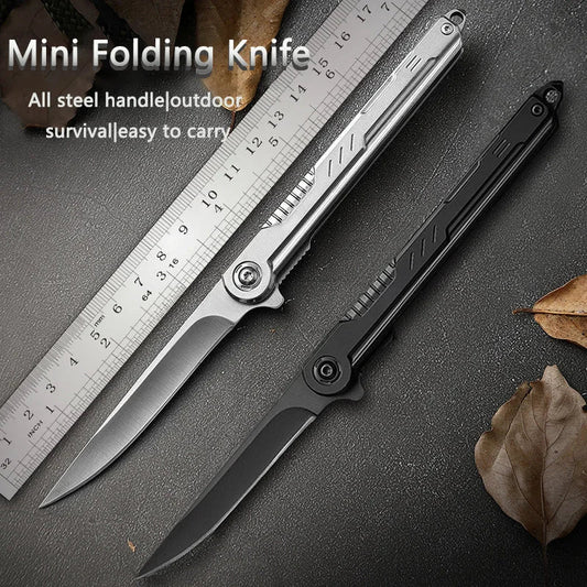 🔥Last Day Promotion - 40% OFF Portable High Hardness Folding Mini Knife